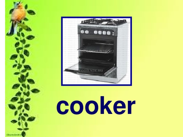 cooker 