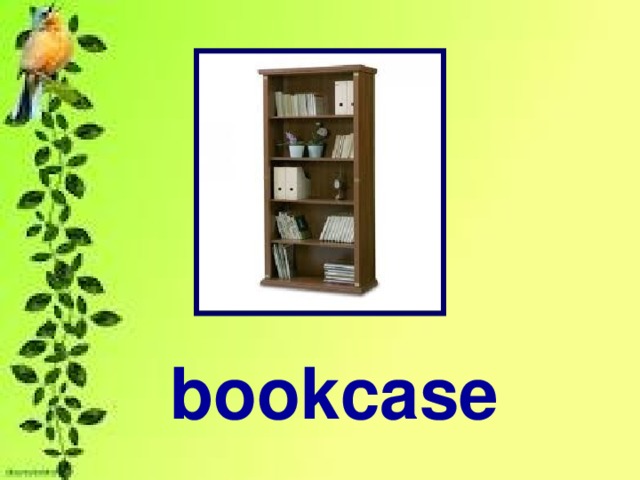 bookcase 