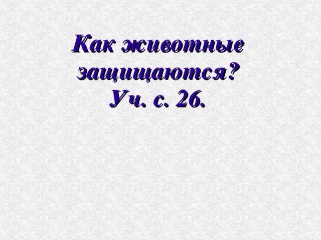 Как можно защищать животных. Как можно защищать животных