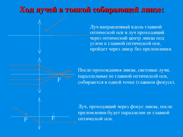 Главная оптическая ось тонкой собирающей линзы