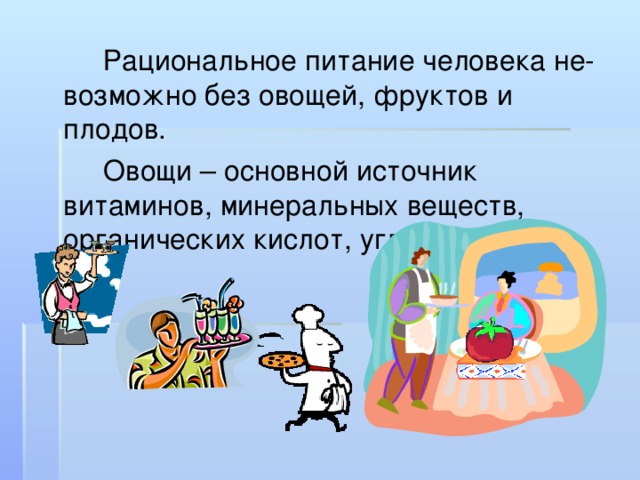   Рациональное питание человека не-возможно без овощей, фруктов и плодов.   Овощи – основной источник витаминов, минеральных веществ, органических кислот, углеводов. 