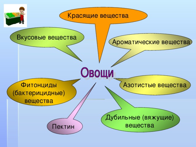 Красящие вещества Вкусовые вещества Ароматические вещества Азотистые вещества Фитонциды (бактерицидные) вещества Дубильные (вяжущие) вещества Пектин 