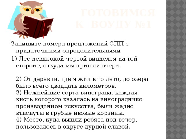  Готовимся к ВОУДУ №1 Запишите номера предложений СПП с придаточными определительными 1) Лес невысокой чертой виднелся на той стороне, откуда мы пришли вчера.                     2) От деревни, где я жил в то лето, до озера было всего двадцать километров.                  3) Нежнейшие сорта винограда, каждая кисть которого казалась на винограднике произведением искусства, были жадно втиснуты в грубые ивовые корзины.    4) Место, куда вышли ребята под вечер, пользовалось в округе дурной славой.  