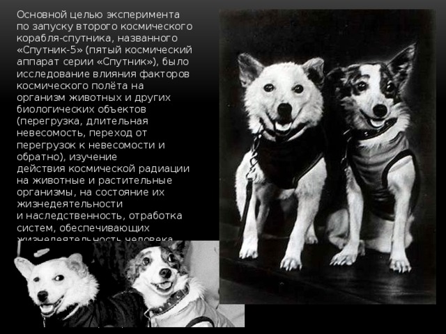 Основной целью эксперимента по запуску второго космического корабля-спутника, названного «Спутник-5» (пятый космический аппарат серии «Спутник»), было исследование влияния факторов космического полёта на организм животных и других биологических объектов (перегрузка, длительная невесомость, переход от перегрузок к невесомости и обратно), изучение действия космической радиации на животные и растительные организмы, на состояние их жизнедеятельности и наследственность, отработка систем, обеспечивающих жизнедеятельность человека, безопасность полёта и благополучное возвращение на Землю. Также было проведено несколько медико-биологических экспериментов и научных исследований космического пространства. 