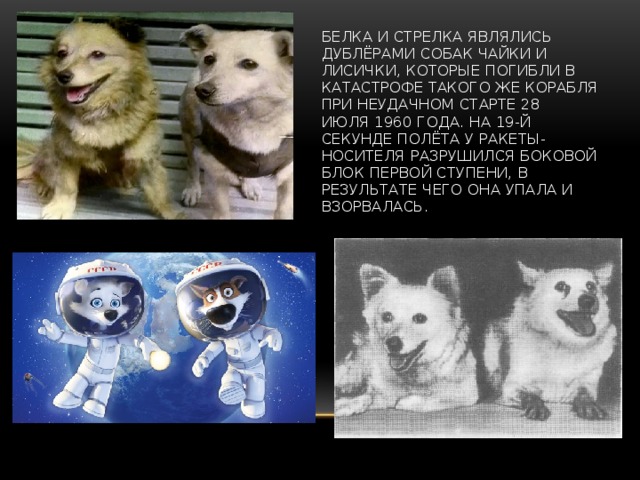 Клички собак в космосе. Дезик и лиса собаки космонавты. Собаки космонавты Лисичка и Чайка. Первые собаки в космосе Чайка и Лисичка. Белка и стрелка собаки космонавты.