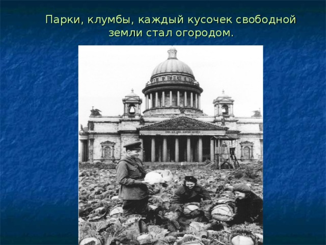 Парки, клумбы, каждый кусочек свободной земли стал огородом. 