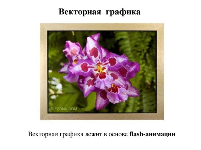 Векторная графика Векторная графика лежит в основе flash-анимации 