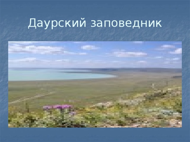 Даурский заповедник на карте