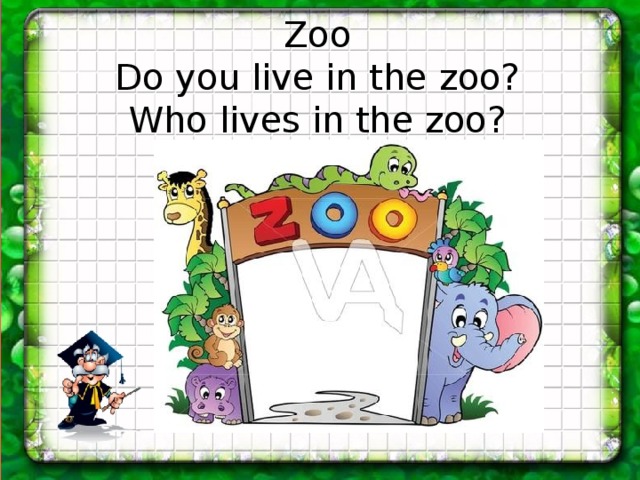 Were you did at the zoo. Do you like the Zoo Ann как читать по русски. Do you like the Zoo Ann. Ann перевод на русский язык.