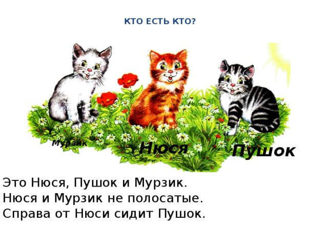 КТО ЕСТЬ КТО? Нюся Мурзик Пушок Это Нюся, Пушок и Мурзик. Нюся и Мурзик не полосатые. Справа от Нюси сидит Пушок. 
