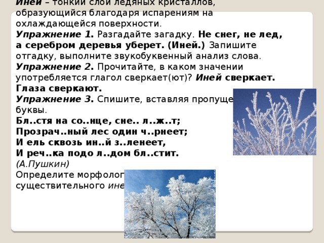 Слово серебряный иней. Загадка про иней. Загадки про снег. Загадки про изморозь. Загадки про иней и отгадки.