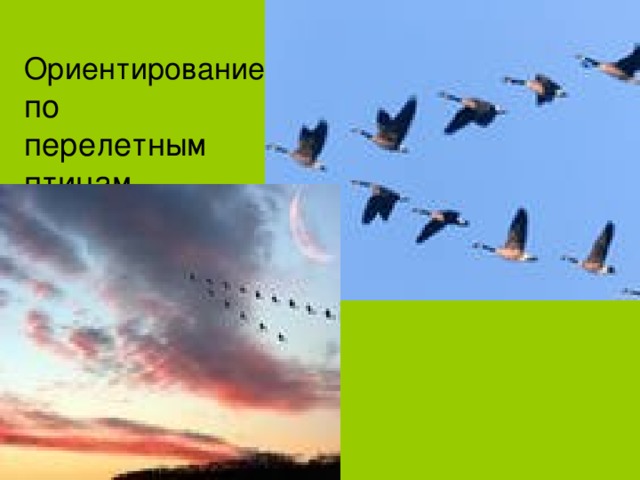 урок активный отдых на природе и личная безопасность