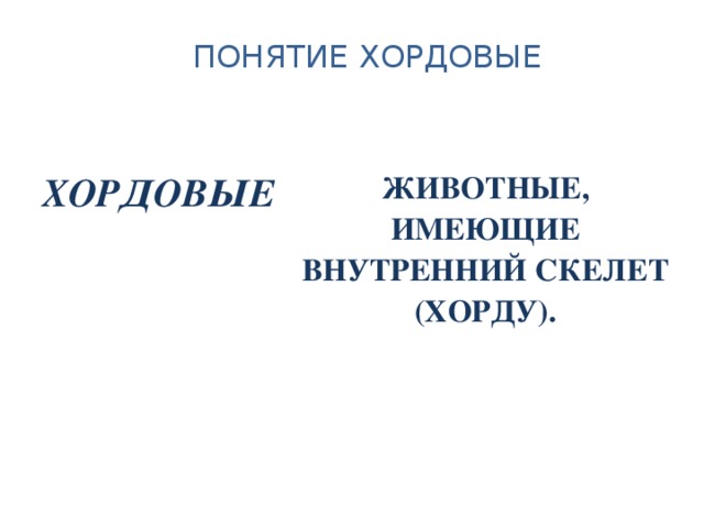 ПОНЯТИЕ ХОРДОВЫЕ ХОРДОВЫЕ ЖИВОТНЫЕ, ИМЕЮЩИЕ ВНУТРЕННИЙ СКЕЛЕТ (ХОРДУ). 