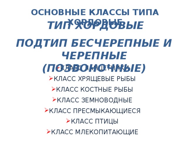 ОСНОВНЫЕ КЛАССЫ ТИПА ХОРДОВЫЕ ТИП ХОРДОВЫЕ ПОДТИП БЕСЧЕРЕПНЫЕ И ЧЕРЕПНЫЕ (ПОЗВОНОЧНЫЕ) КЛАСС ЛАНЦЕТНИКИ КЛАСС ХРЯЩЕВЫЕ РЫБЫ КЛАСС КОСТНЫЕ РЫБЫ КЛАСС ЗЕМНОВОДНЫЕ КЛАСС ПРЕСМЫКАЮЩИЕСЯ КЛАСС ПТИЦЫ КЛАСС МЛЕКОПИТАЮЩИЕ 