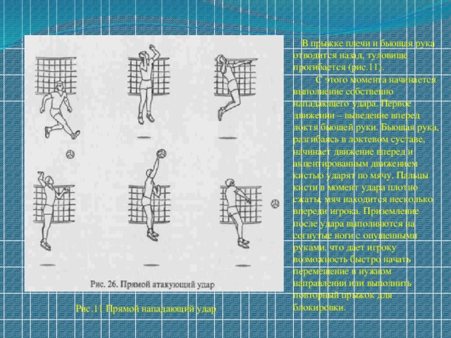  В прыжке плечи и бьющая рука отводится назад, туловище прогибается (рис.11). С этого момента начинается выполнение собственно нападающего удара. Первое движении – выведение вперед локтя бьющей руки. Бьющая рука, разгибаясь в локтевом суставе, начинает движение вперед и акцентированным движением кистью ударят по мячу. Пальцы кисти в момент удара плотно сжаты, мяч находится несколько впереди игрока. Приземление после удара выполняются на согнутые ноги с опущенными руками, что дает игроку возможность быстро начать перемещение в нужном направлении или выполнить повторный прыжок для блокировки .  Рис.11 Прямой нападающий удар  