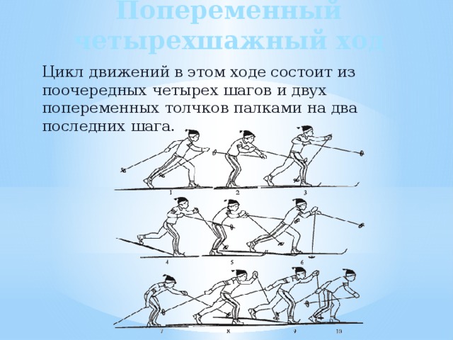 Попеременный четырехшажный ход Цикл движений в этом ходе состоит из поочередных четырех шагов и двух попеременных толчков палками на два последних шага. 