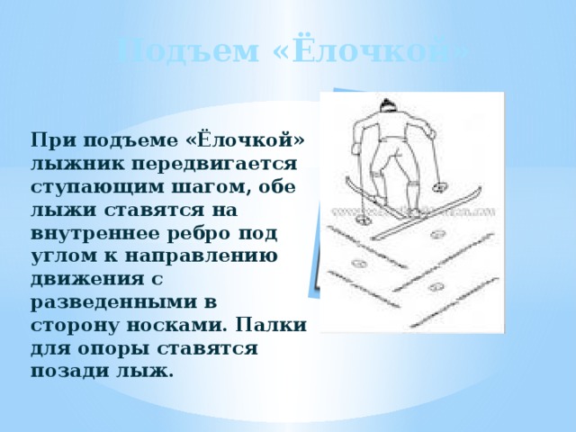 Где ошибка в технике подъема елочкой. Подъем елочкой на лыжах. Подъем елочкой. При подъеме "елочкой". Подъём ёлочкой на лыжах техника.