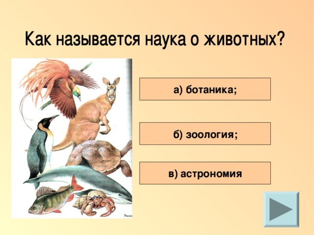 Наука изучающая животных. Название наук о животных. Название наук изучающих животных. Как называется наука изучающая зверей. Дисциплины зоологии.