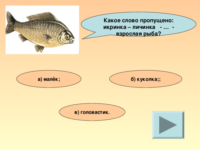 Какой ответ в рыбу. Икринка взрослая рыба какое слово пропущено. Какое слово пропущено икринка взрослая рыба личинка малек головастик. Какое слово пропущено икринка личинка. Икринка личинка взрослая рыба.