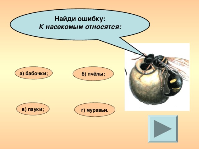 К насекомым относят. К насекомым относятся. К насекомым не относятся. Паук относится к насекомым. Насекомые относятся к насекомым?.