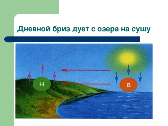 На каком озере дует ветер баргузин а ладога б каспий в неро г байкал