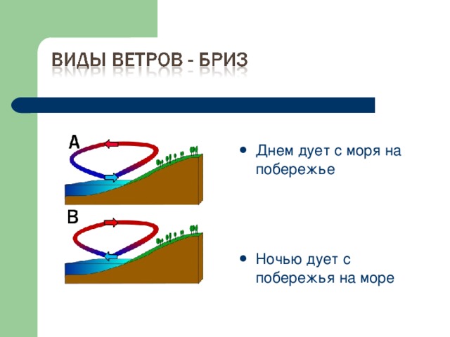 Днем дует с моря на побережье    Ночью дует с побережья на море 