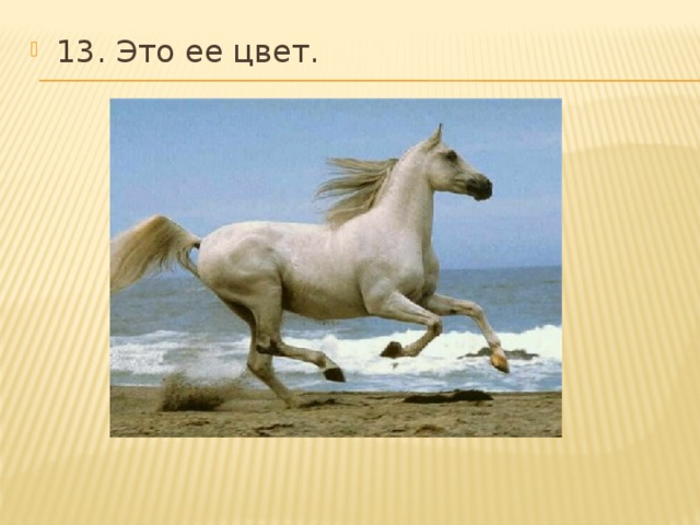 13. Это ее цвет. 