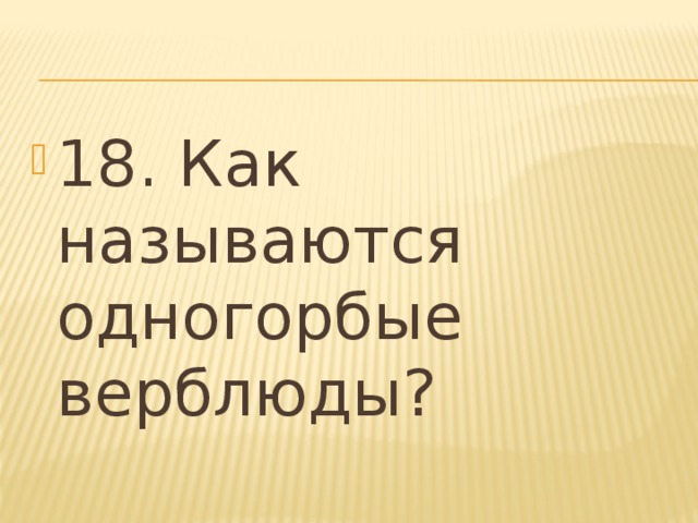 18. Как называются одногорбые верблюды? 