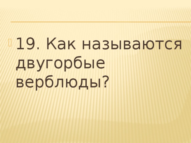 19. Как называются двугорбые верблюды? 