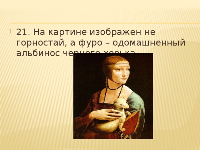 21. На картине изображен не горностай, а фуро – одомашненный альбинос черного хорька 