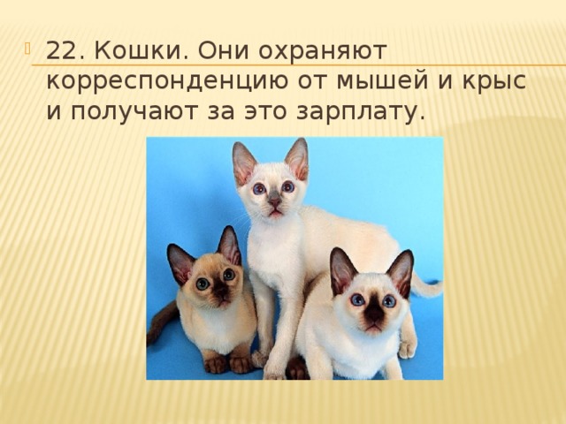 22. Кошки. Они охраняют корреспонденцию от мышей и крыс и получают за это зарплату. 