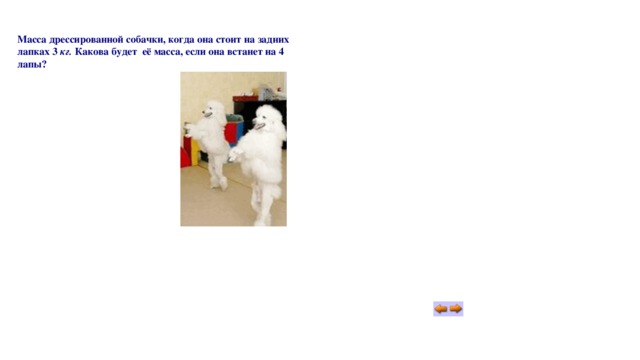 Масса дрессированной собачки, когда она стоит на задних лапках 3 кг. Какова будет её масса, если она встанет на 4 лапы? 