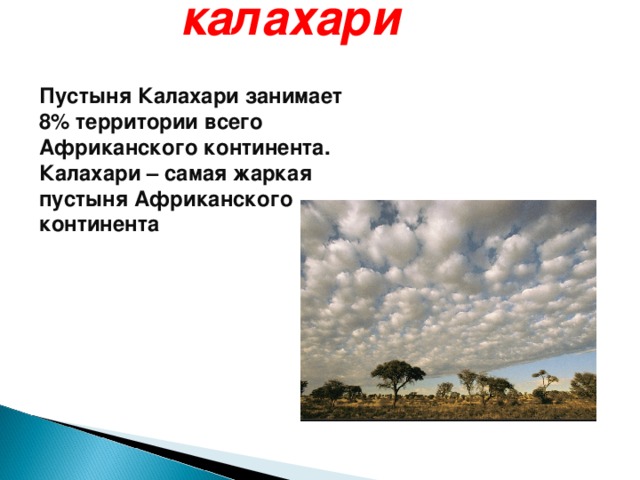 калахари Пустыня Калахари занимает 8% территории всего Африканского континента. Калахари – самая жаркая пустыня Африканского континента  