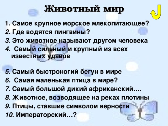 Животный мир 1. Самое крупное морское млекопитающее? 2. Где водятся пингвины? 3. Это животное называют другом человека 4. Самый сильный и крупный из всех известных удавов  5. Самый быстроногий бегун в мире 6. Самая маленькая птица в мире? 7. Самый большой дикий африканский…. 8. Животное, возводящее на реках плотины 9. Птицы, ставшие символом верности 10. Императорский…?  