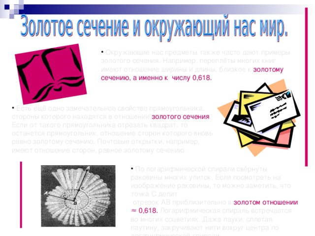  Окружающие нас предметы также часто дают примеры золотого сечения. Например, переплёты многих книг имеют отношение ширины и длины, близкое к золотому сечению, а именно к числу 0,618.  Есть ещё одно замечательное свойство прямоугольника, стороны которого находятся в отношении золотого сечения . Если от такого прямоугольника отрезать квадрат, то останется прямоугольник, отношение сторон которого вновь равно золотому сечению. Почтовые открытки, например, имеют отношение сторон, равное золотому сечению .  По логарифмической спирали свёрнуты раковины многих улиток. Если посмотреть на изображение раковины, то можно заметить, что точка С делит  отрезок АВ приблизительно в золотом отношении  ≈ 0,618. Логарифмическая спираль встречается во многих соцветиях. Даже пауки, сплетая паутину, закручивают нити вокруг центра по логарифмической спирали  