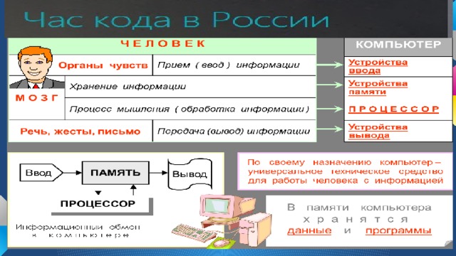 Аналогия между ПК и человеком 