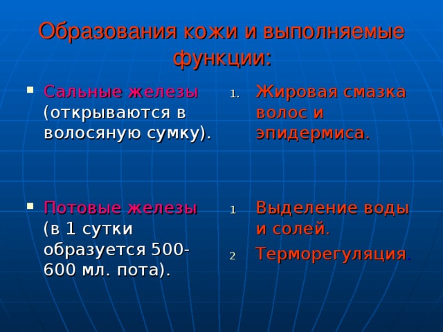 Образования кожи и выполняемые функции: Сальные железы (открываются в волосяную сумку).  Жировая смазка волос и эпидермиса.  Потовые железы (в 1 сутки образуется 500-600 мл. пота). Выделение воды и солей. Терморегуляция . 