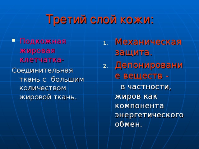 Третий слой кожи: Подкожная жировая  клетчатка- Механическая защита. Депонирование  веществ -  в частности, жиров как компонента энергетического обмен. Соединительная ткань с  большим количеством жировой ткань . 