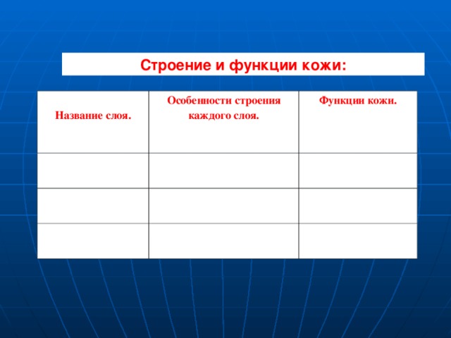 Строение и функции кожи:  Название слоя. Особенности строения каждого слоя. Функции кожи. 