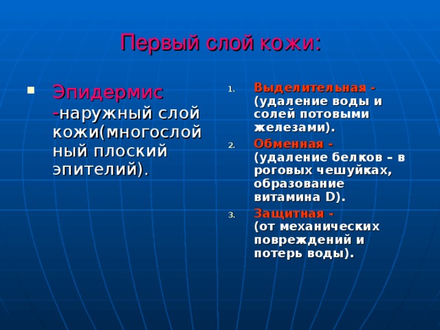 Первый слой кожи: Эпидермис - наружный слой кожи(многослойный плоский эпителий). Выделительная - (удаление воды и солей потовыми железами). Обменная - (удаление белков – в роговых чешуйках, образование витамина D ). Защитная - (от механических повреждений и потерь воды). 