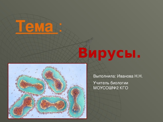 Тема :   Вирусы. Выполнила: Иванова Н.Н. Учитель биологии МОУСОШ№2 КГО 