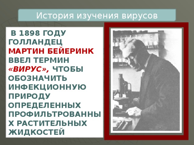 История изучения вирусов  В 1898 году голландец Мартин Бейеринк ввел термин «вирус», чтобы обозначить инфекционную природу определенных профильтрованных растительных жидкостей 