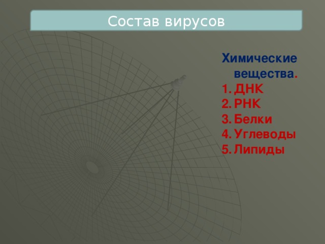 Состав вирусов Химические вещества . ДНК РНК Белки Углеводы Липиды 