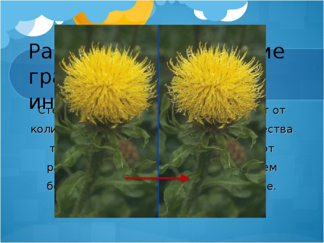 Растровое кодирование графической информации Степень четкости изображения зависит от количества строк на весь экран и количества точек в строке, которые представляют разрешающую способность экрана. Чем больше точек, тем лучше изображение. 
