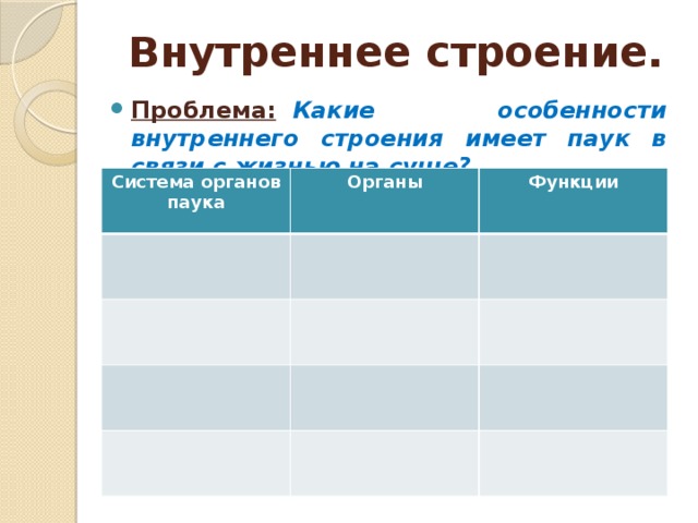 Внутреннее строение. Проблема:     Какие особенности внутреннего строения имеет паук в связи с жизнью на суше? Система органов паука Органы Функции 