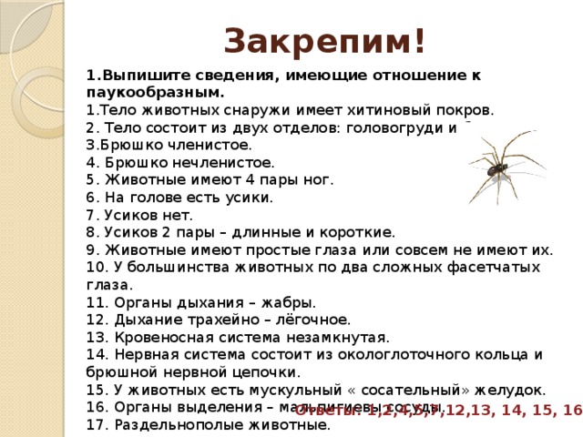 Тест насекомые. Сведения имеющие отношение к паукообразным. Тело животных снаружи имеет Хитиновый Покров. Паукообразные общая характеристика. Общая характеристика паукообразных кратко.