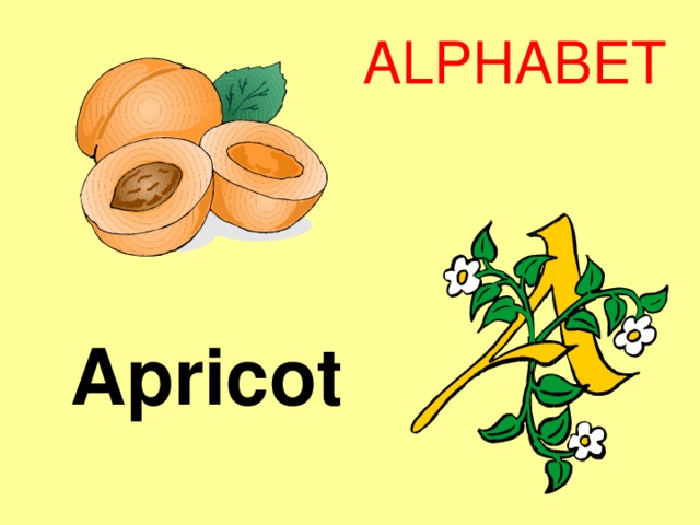 ALPHABET Apricot 