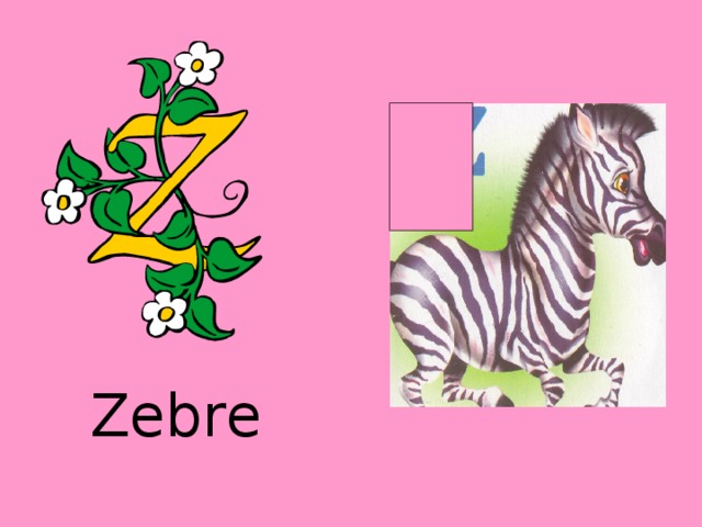 Zebre 