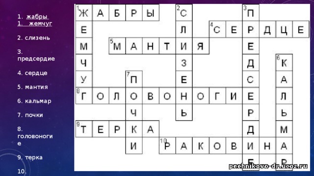 Кроссворд на тему класс ракообразные. Готовый кроссворд по биологии. Кроссворд на тему ракообразные. Кроссворд по биологии насекомые. Кроссворд ракообразные и паукообразные.