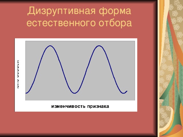 Дизруптивный отбор рисунок